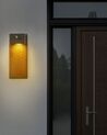 Outdoor LED Wall Light with Motion Sensor Grey CARRON_870457