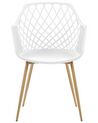 	Conjunto de 2 sillas de comedor blanco/madera clara NASHUA_775297