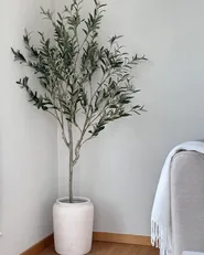 Sztuczna roślina OLIVE TREE 153 cm Zielony_920222