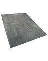 Shaggy Area Rug 200 x 300 cm Grey EVREN_806019