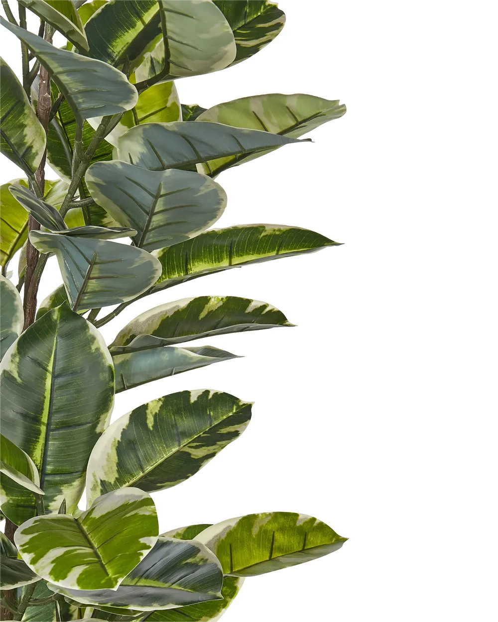 JARLAN Ficus Artificiale 120 Cm Con 430 Foglie E Tronco Intrecciato - Pianta Decorativa In Vaso Cementato - 2