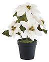 Plante artificielle CHRISTMAS FLOWER 61 cm Blanc