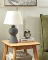 Ceramic Table Lamp Grey FABILOS_878683