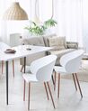 Set of 2 Dining Chairs White BLAYKEE_783876