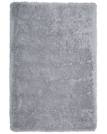 Tappeto shaggy rettangolare grigio chiaro 200 x 300 cm CIDE