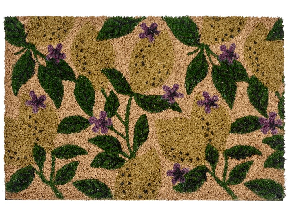Tapete de entrada TAZLINA Multicolor 50 x 80 cm Limão Fibra de coco