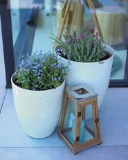 Set of 2 Plant Pots CROTON 43 cm Off-White_983624