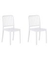 Set of 2 Garden Chair White SERSALE_820151