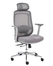 Sedia da ufficio OLYRA Grigio_1065646