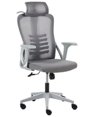 Krzesło biurowe ERGONOX Szary_1065536