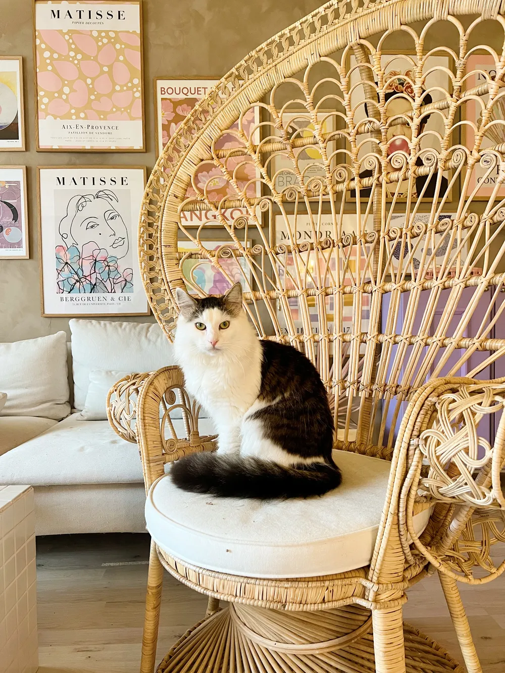 Living Room Peacock Chair Cheap Peacock Lounge Chair: Color Buy