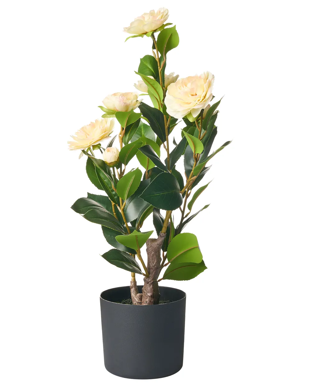Sztuczna roślina CAMELLIA 60 cm Zielony
