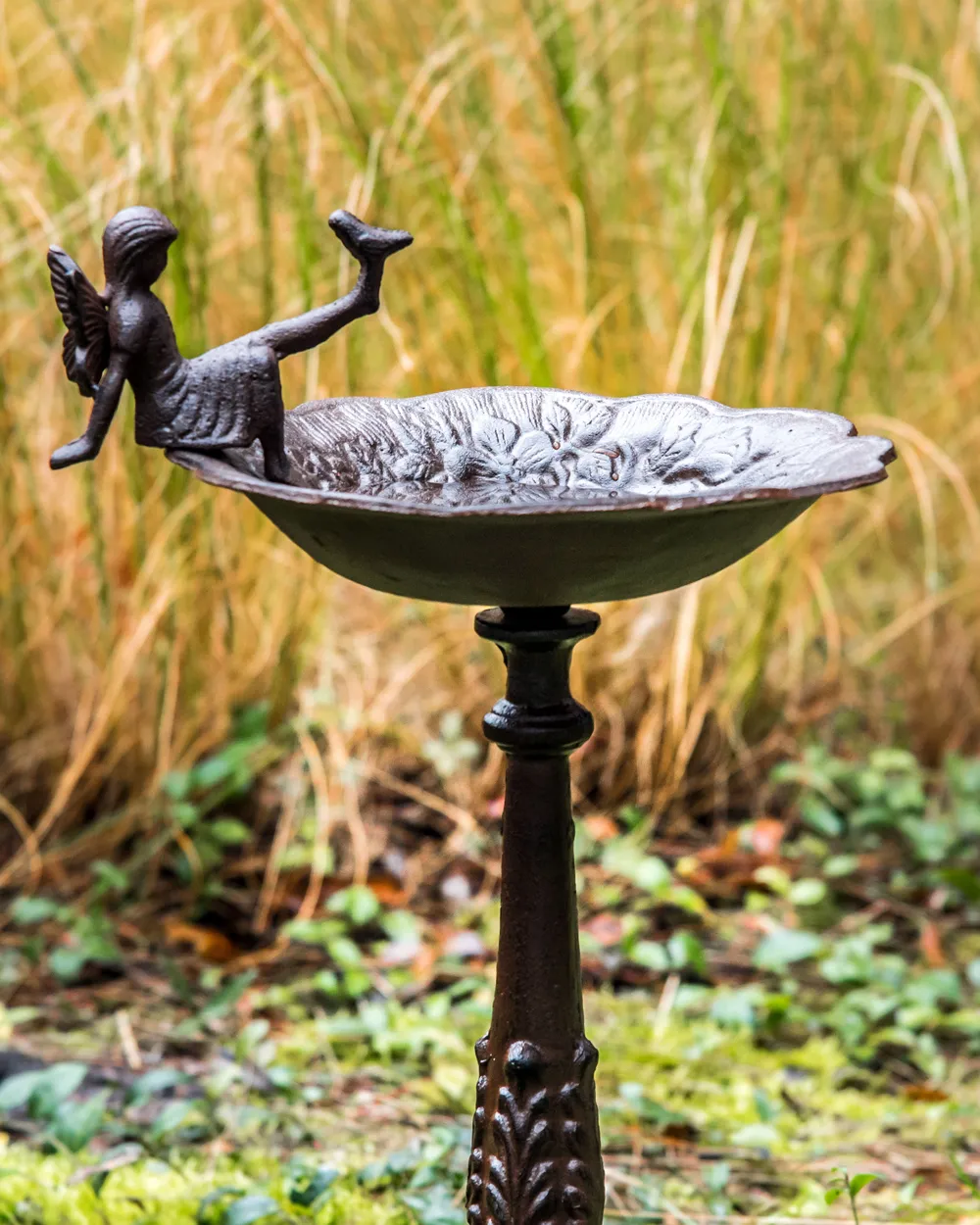 Bird Bath LARK Brown_956097