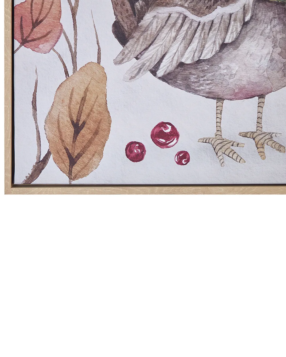 Obraz na płótnie CASTRO 63 x 63 cm Motyw zwierzęcy Kolorowy_891167