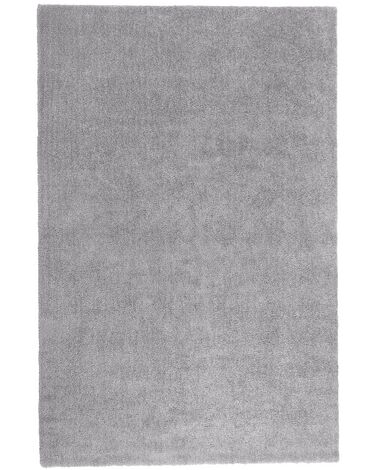 Tappeto shaggy grigio chiaro 200 x 300 cm DEMRE