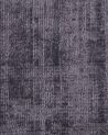 Viscose Area Rug 80 x 150 cm Grey GESI_680126