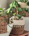 Set of 2 Seagrass Plant Pot Baskets Natural MATIKU_862773