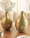 Set of 2 Metal Flower Vases 32/35 cm Gold MOHENJO_823111