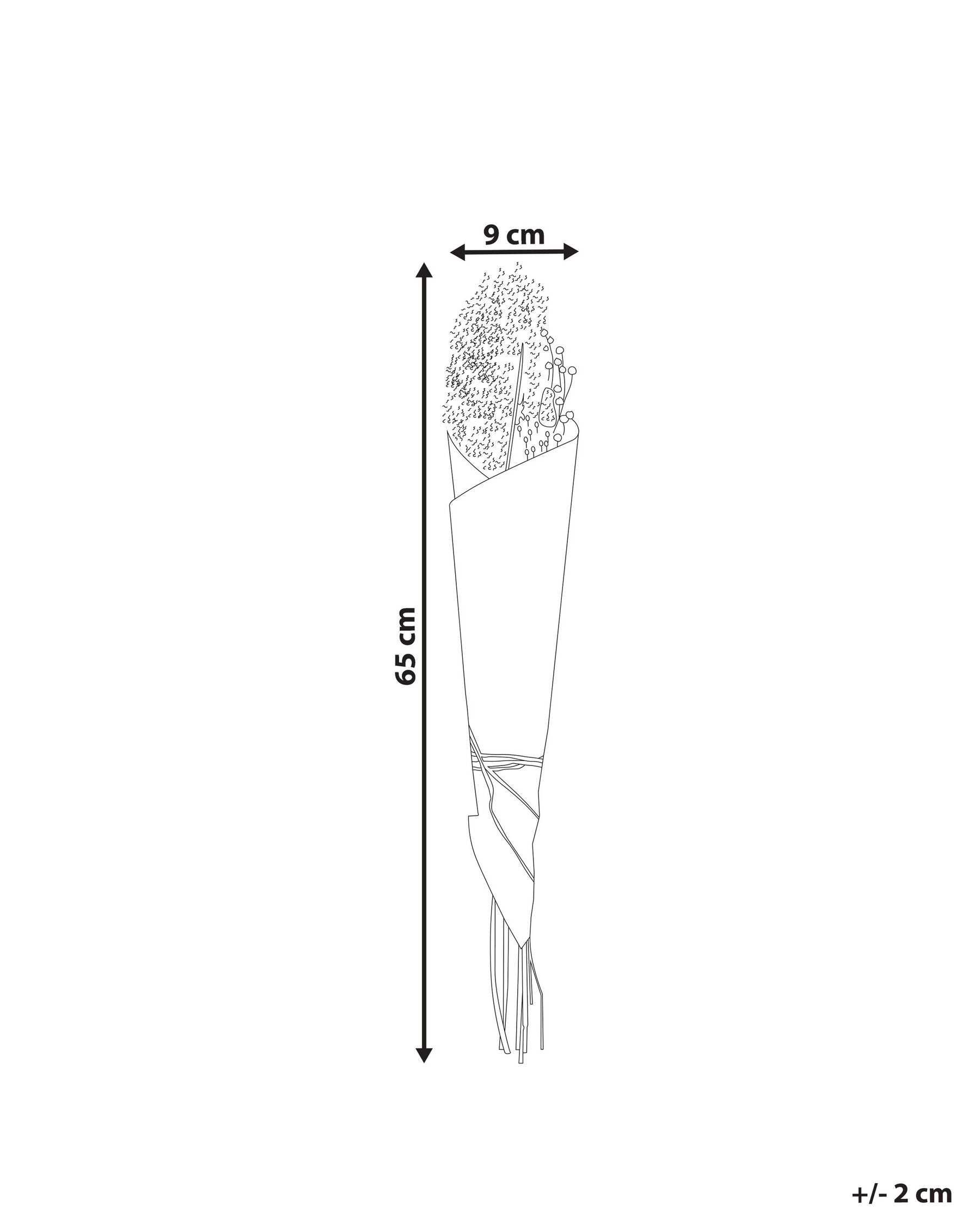 Bukiet suszonych kwiatów BRUNETE 65 cm Naturalny_835248