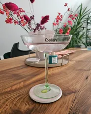 Set di 4 bicchieri da Martini DIOPSIDE 250 ml Rosa_1030900