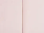 Trundle Bed Velvet EYBURIE 90 x 200 cm (EU Single) Pastel Pink_844383