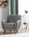 Fauteuil fluweel grijs BODO_738197