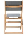 Conjunto de 2 sillas de jardín de madera de acacia clara/gris CESANA_716852