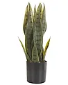Artificial Plant SNAKE PLANT 40 cm Green