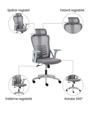 Scaun ergonomic ERGONOX Gri_1071051