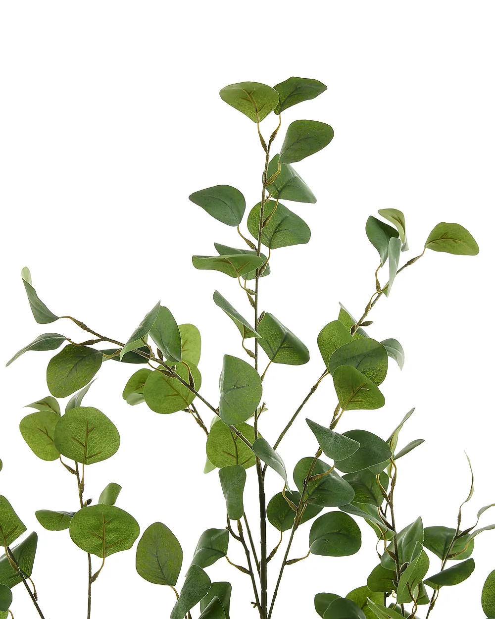 Artificial Plant EUCALYPTUS TREE 156 cm Green_1185275