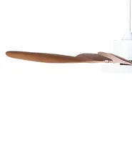 Ceiling Fan with Light BARBET with Remote LED Light Brown_1032023