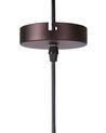 Metal Pendant Lamp Brown PECHORA_692530