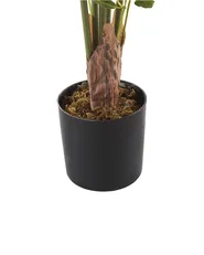 Sztuczna roślina BAMBUSA VULGARIS 160 cm Zielony_774414