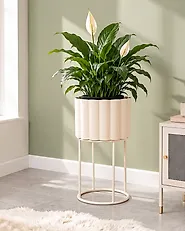 Elevated Plant Pot GANTIANELLA 30 cm Metal Pastel Pink_1188014