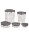 Set of 5 Willow Baskets White VAKARI_939886