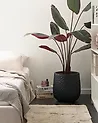 Plant Pot QIYUN 41 cm Black