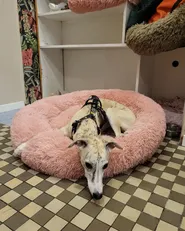 Pet Bed KULU Faux Fur Pink_862230