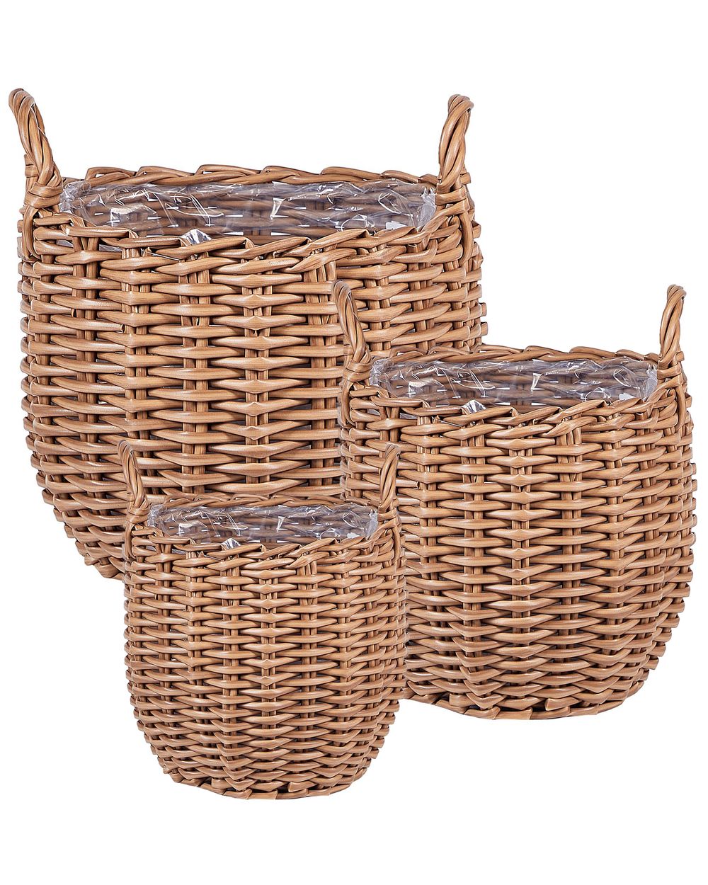 3 Types Plant in Basket 3 Types Plant in Basket