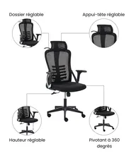 Chaise de bureau ERGONOX Noir_1071050