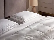 3-Chamber Bed Pillow ETNA Low 50 x 60 cm Duck Feathers and Down White_1188261