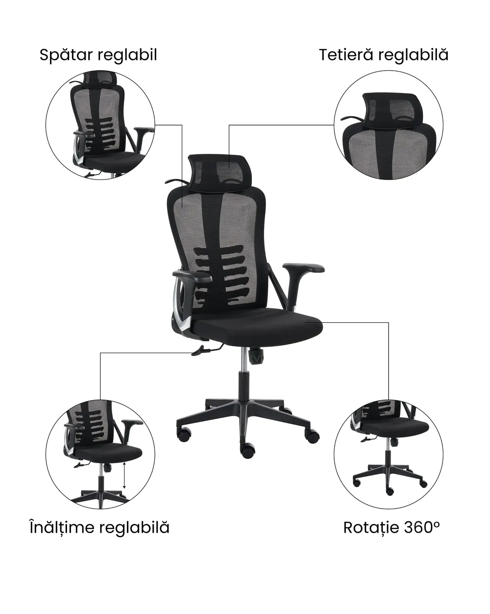 Scaun ergonomic ERGONOX Negru_1071050