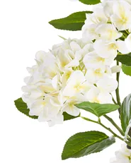 Sztuczna roślina HORTENSIUM 120 cm Biały_1103870