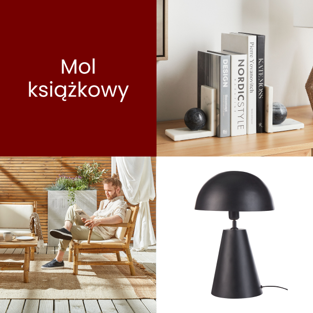 Mol książkowy