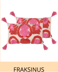 FRAKSINUS