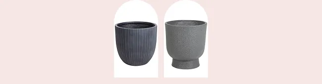 Freebies Image