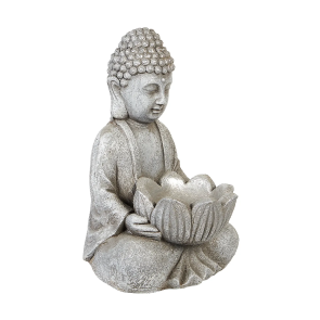 Newsletter Image
