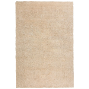 Newsletter Image