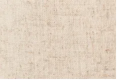 Newsletter Image