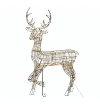 Newsletter Image