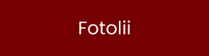 Fotolii